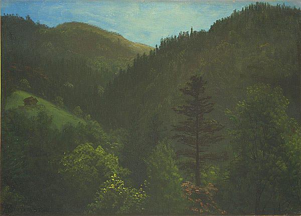 Wooded Landscape - Albert Bierstadt